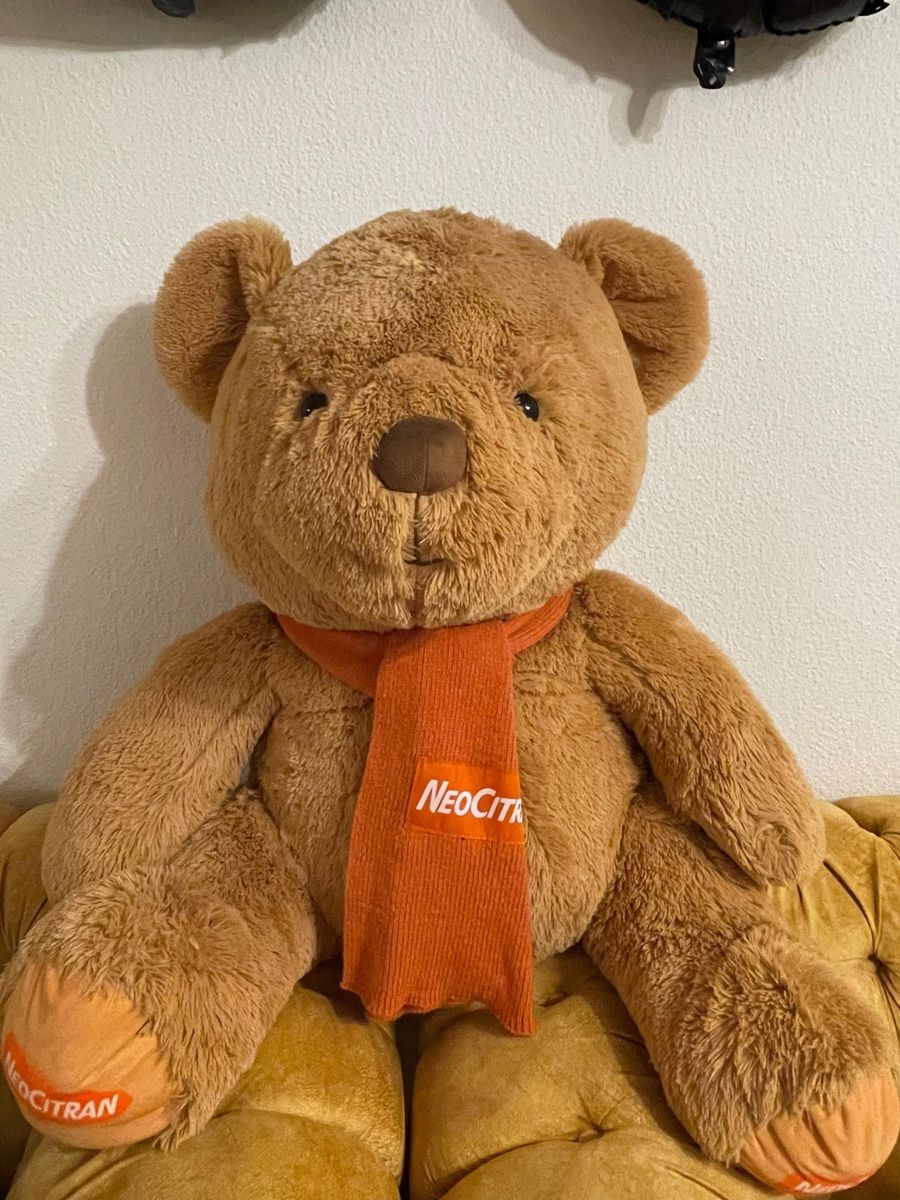 Spielzeuge: GROSSER TEDDY BÄR 🐻  – Neu (gemäss Beschreibung) aus Zürich von sha_207 1