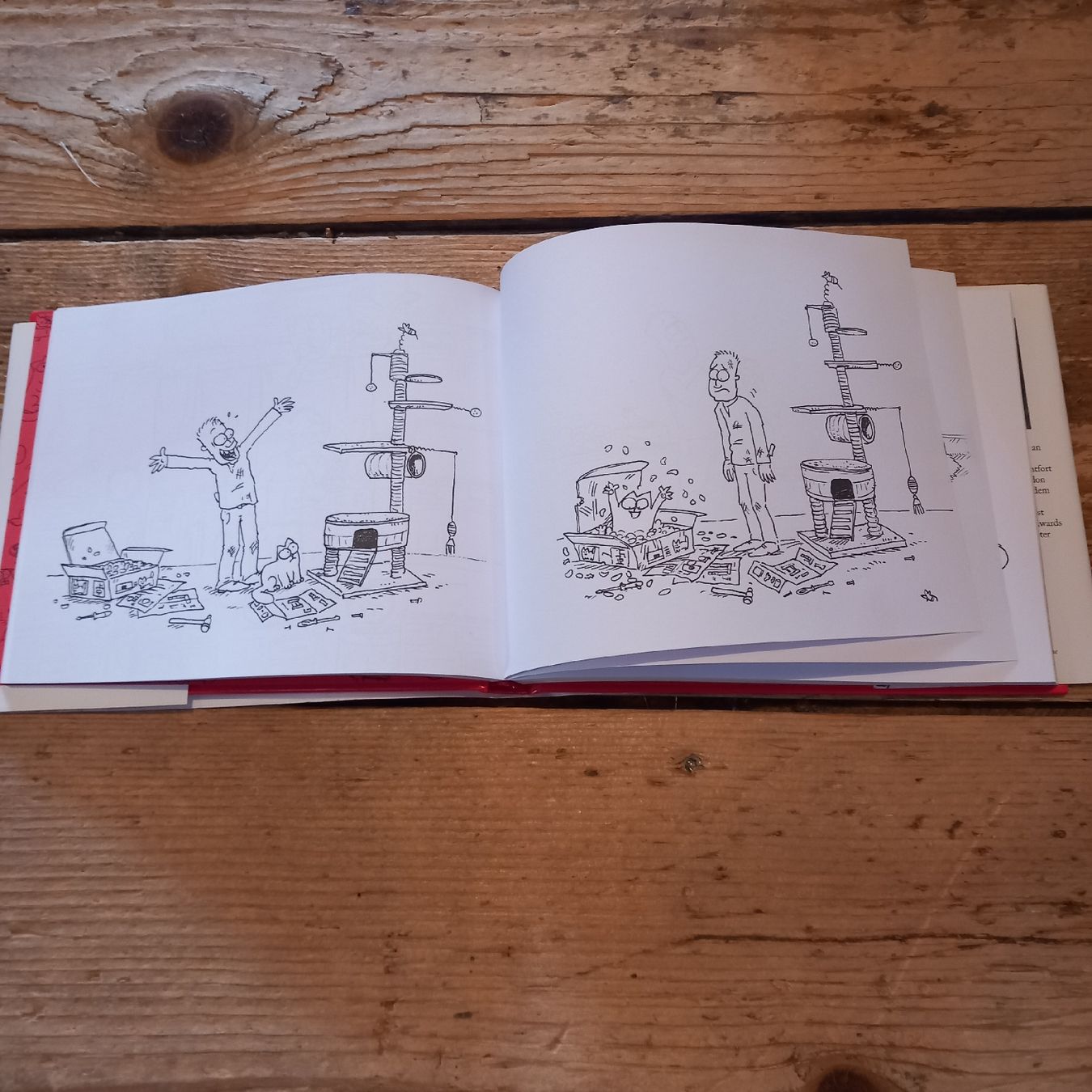 Libri: Simon's Cat – Usato da Ebnat-Kappel venduto da blazzi 2