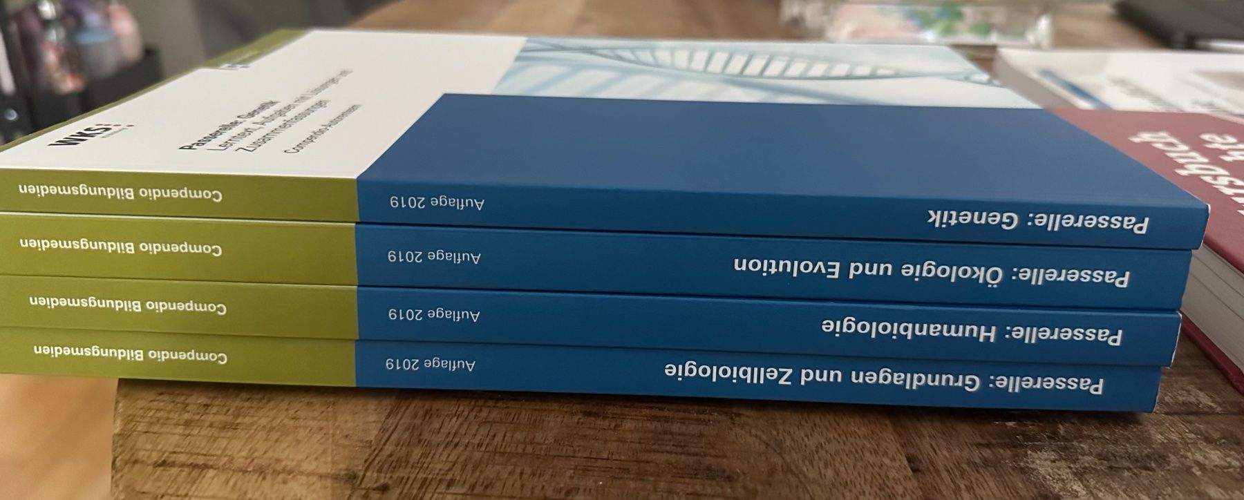 Libri: Passerelle Bücher WKS – Usato da Liebefeld venduto da mic_byl7 1