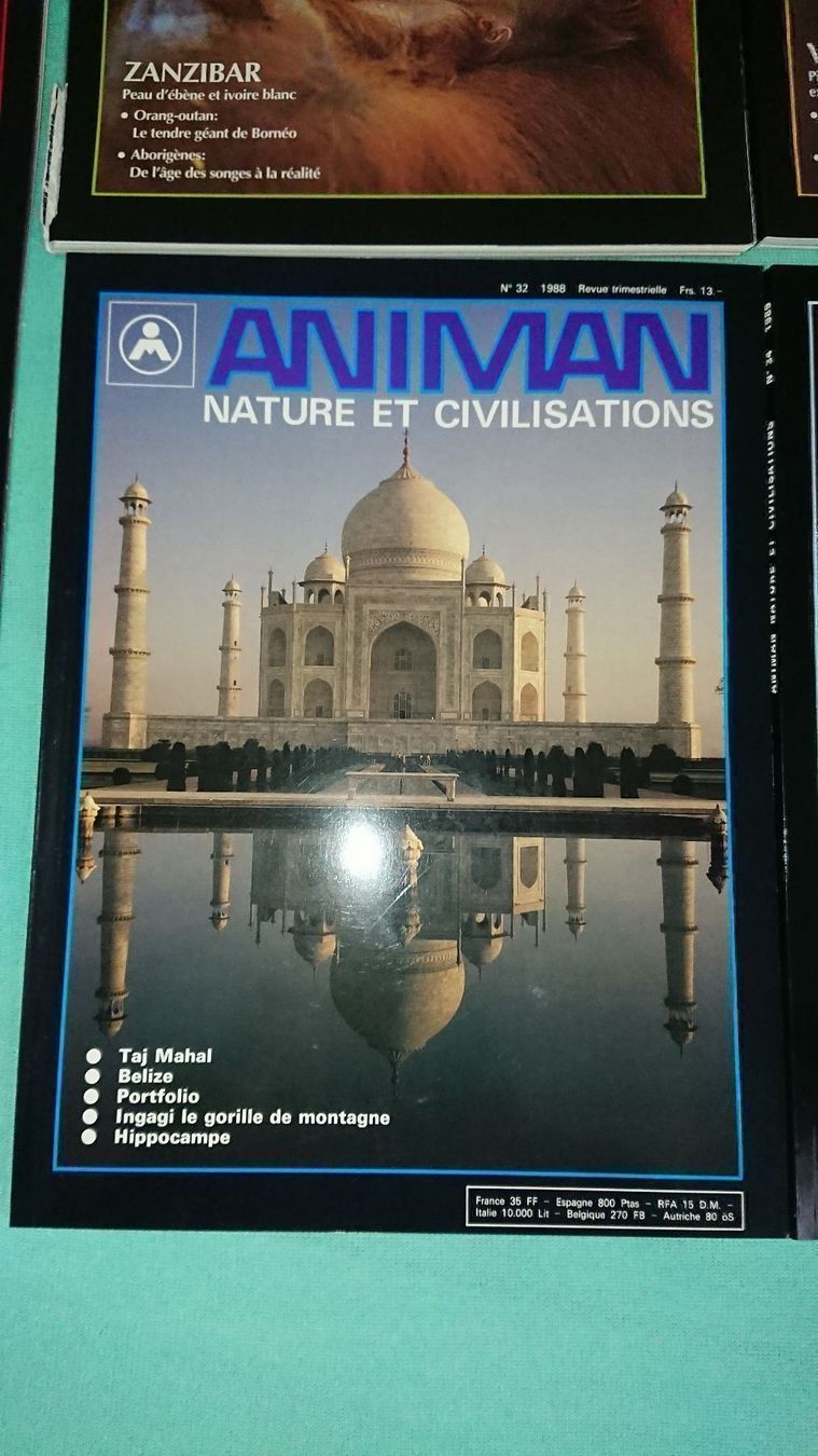 Riviste & Magazine: Animan Magazine – Usato da Cortaillod venduto da signep 4