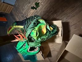 Fasnachtskostüm mit Maske