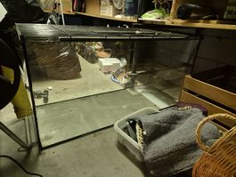 Terrarium 100x40x50