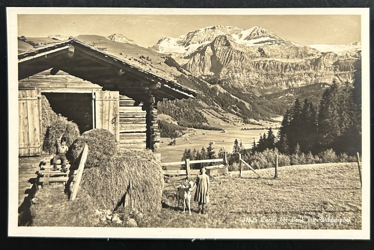 Cartoline postali: Heuernte bei Lenk  – Usato da Horw venduto da Tellbub