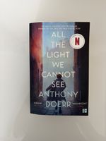 All the light we cannot see
