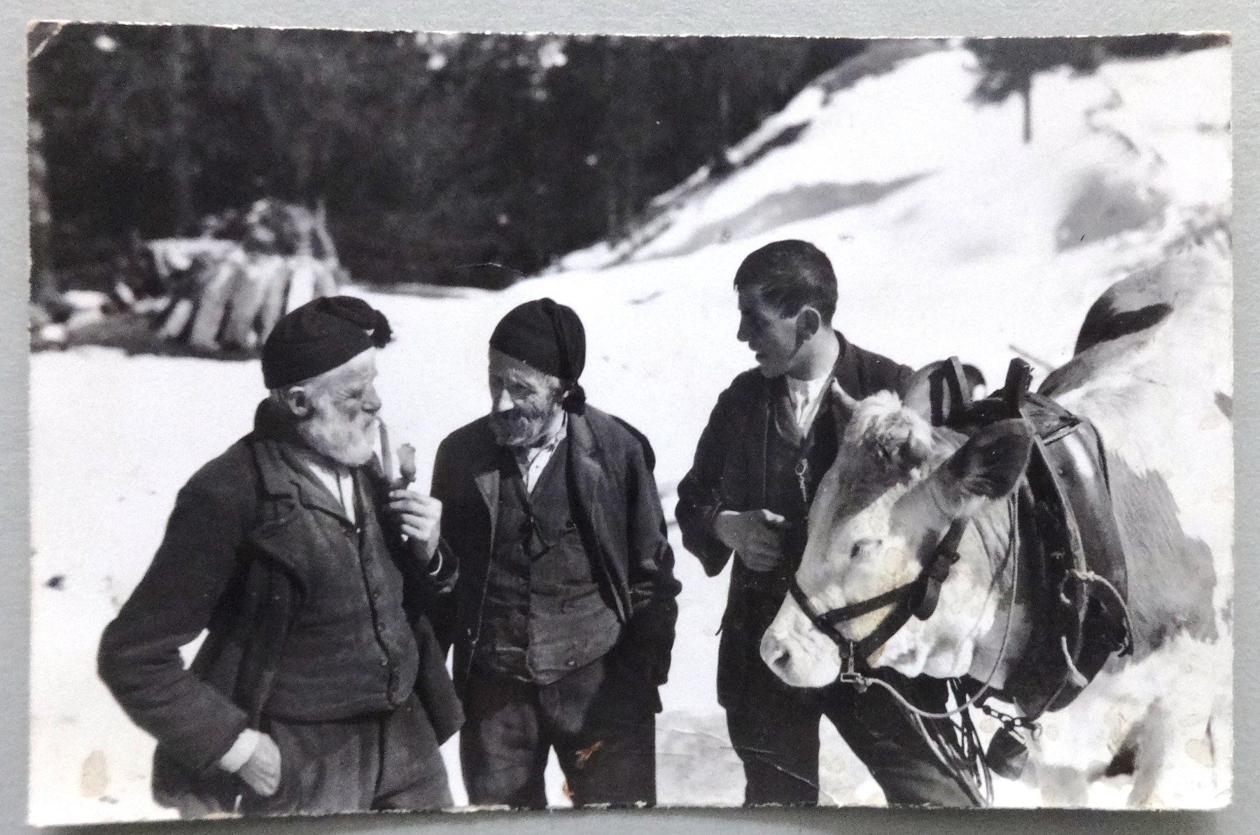 Cartoline postali: Bergbauern – Difettoso da Fétigny venduto da Billy2miny