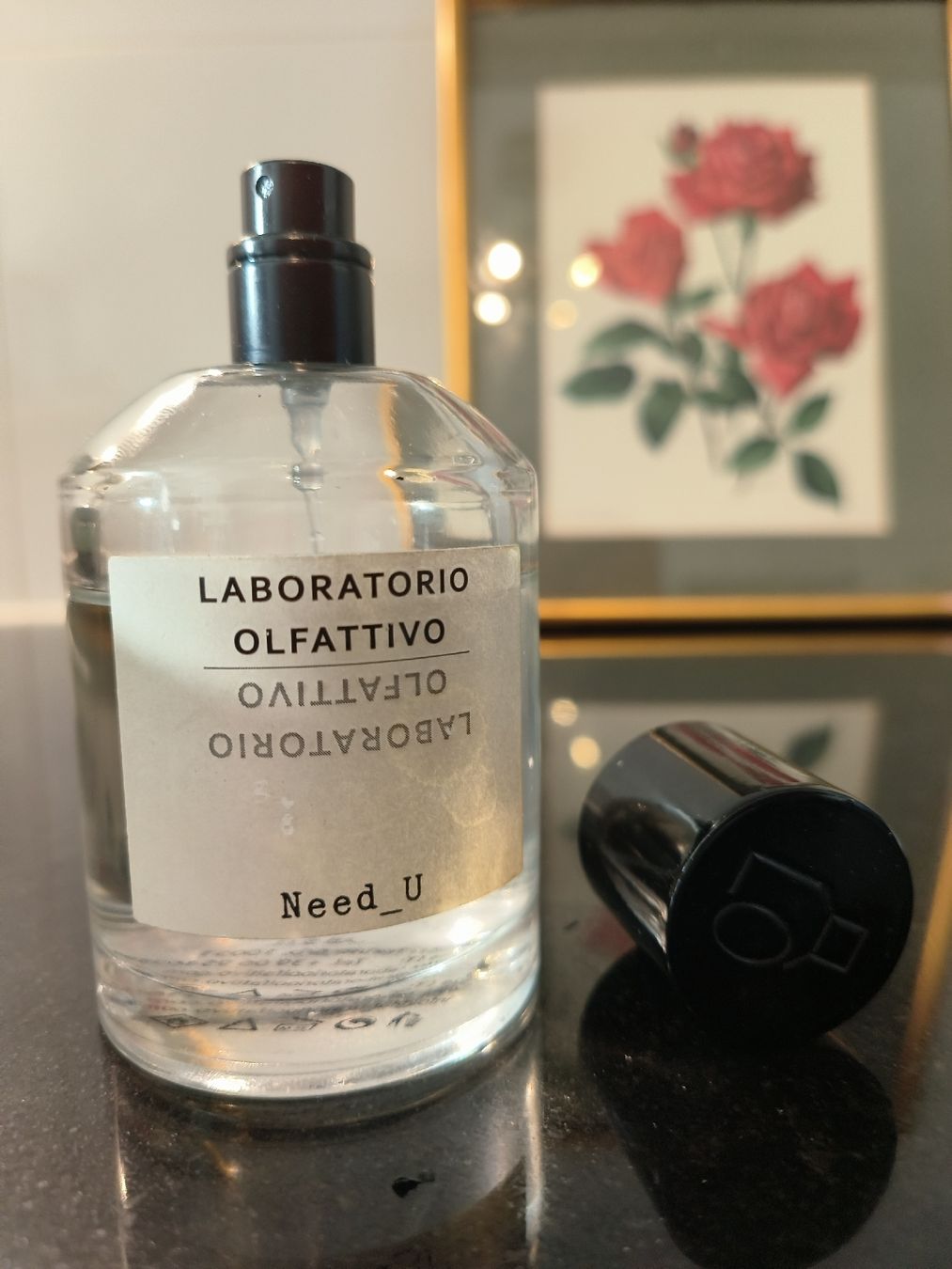 Profumi & Eau de Toilette: Laboratorio Olfattivo Need _u 100 ml – Usato da Carouge GE venduto da pro_xrm5 3