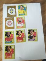 Paninis Bilder WM 