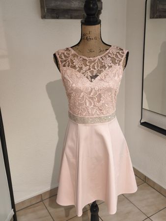 Lipsy Kleid rosa Spitzenapplikation Grösse EU 36 neu