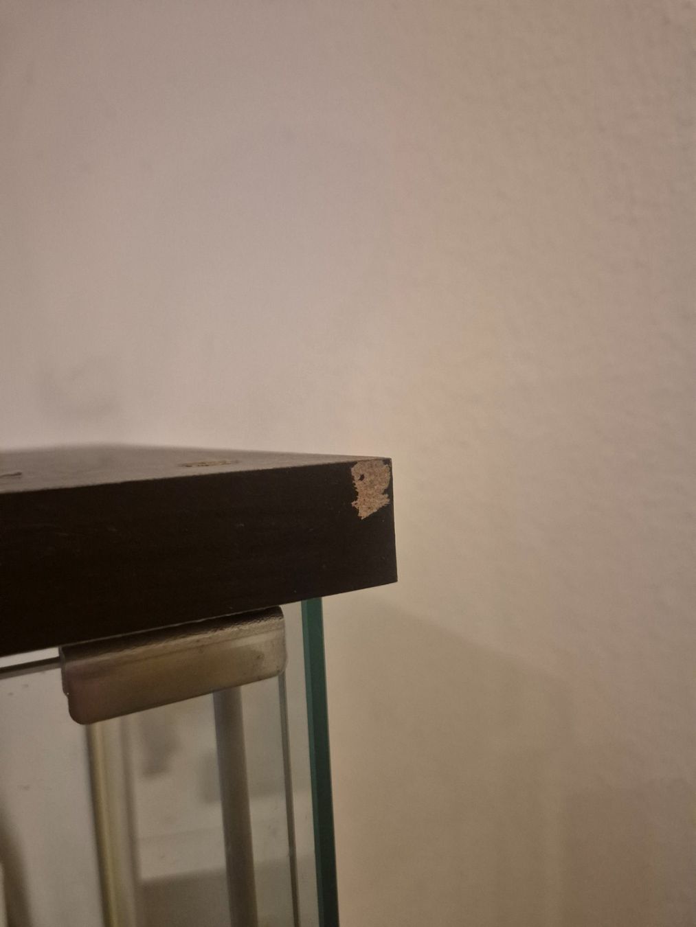 Vitrinen: vitrine en verre – Gebraucht aus Villeneuve VD von Floriang2 5