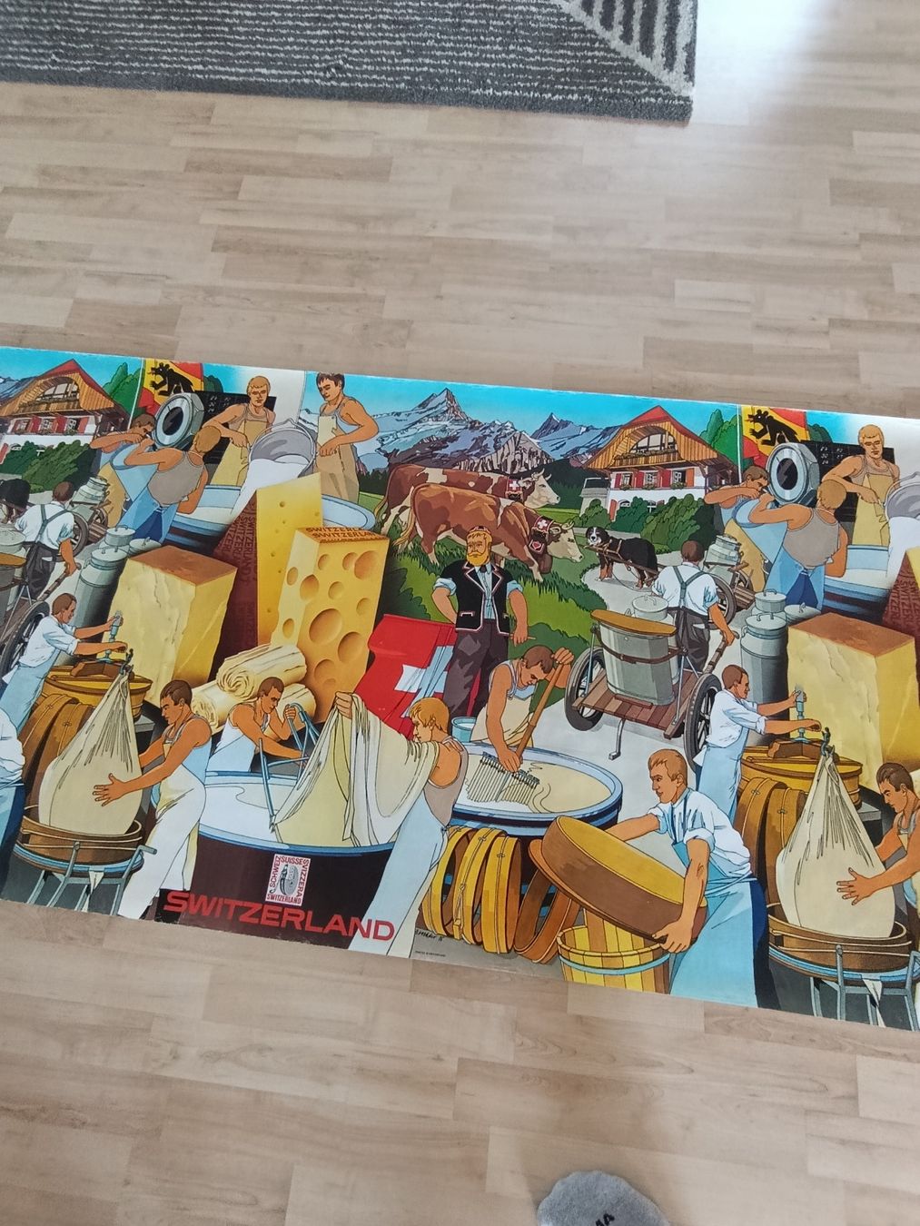 Foto & Immagini: 1975 Schweizer Käse Poster 3,5 Meter lang – Usato da Wil SG venduto da Donaldus 5