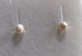 Ohrstecker 14 Karat mit Süsswasserperle
