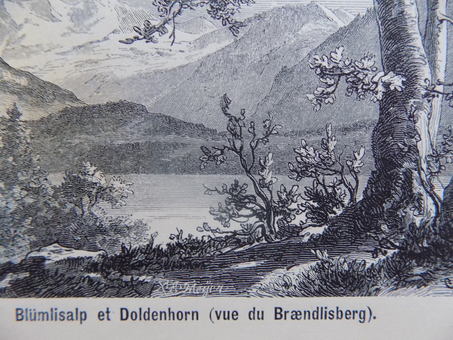Stiche: Blümlisalp et Doldenhorn – Gebraucht aus Risch von Antikfee 5