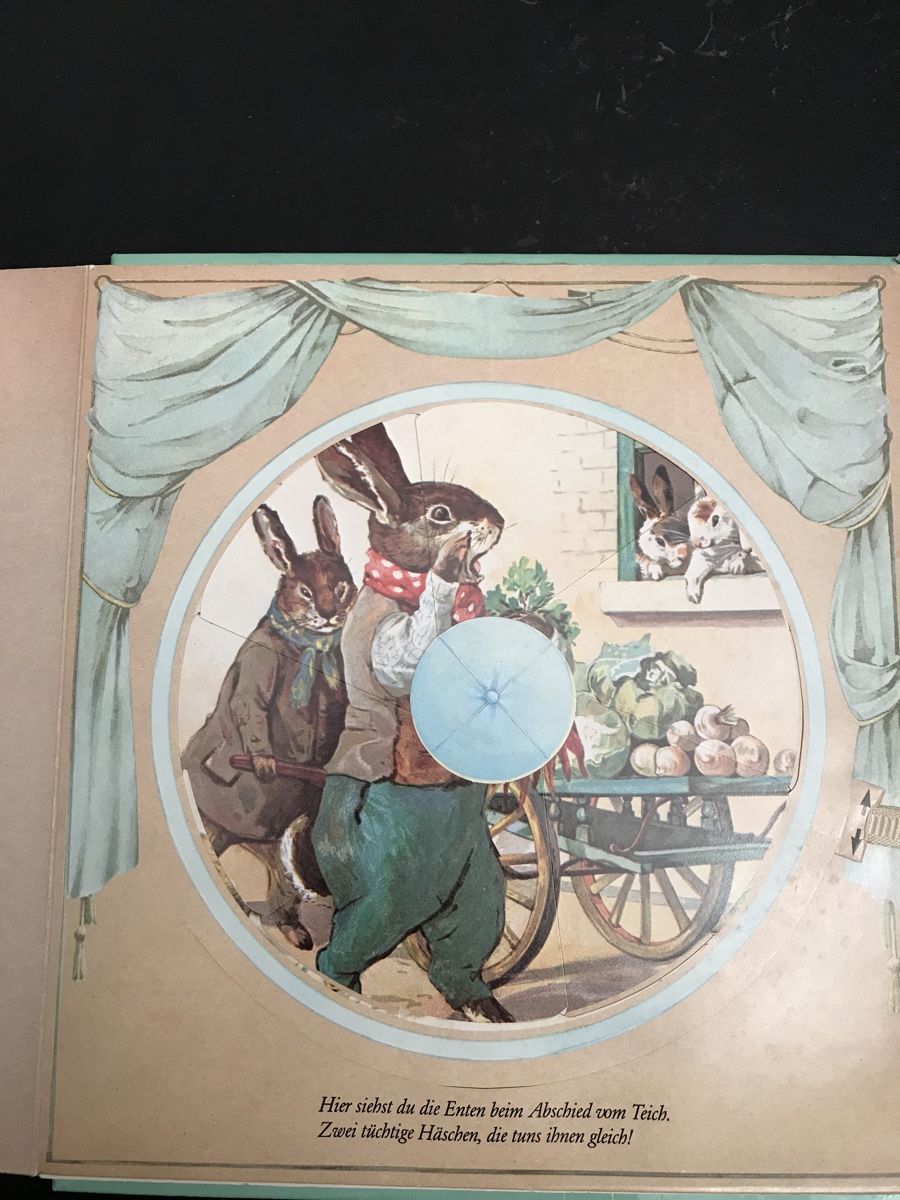 Libri: Kinder Buch, einmal hin - einmal her – Usato da Buonas venduto da eluthi48 1