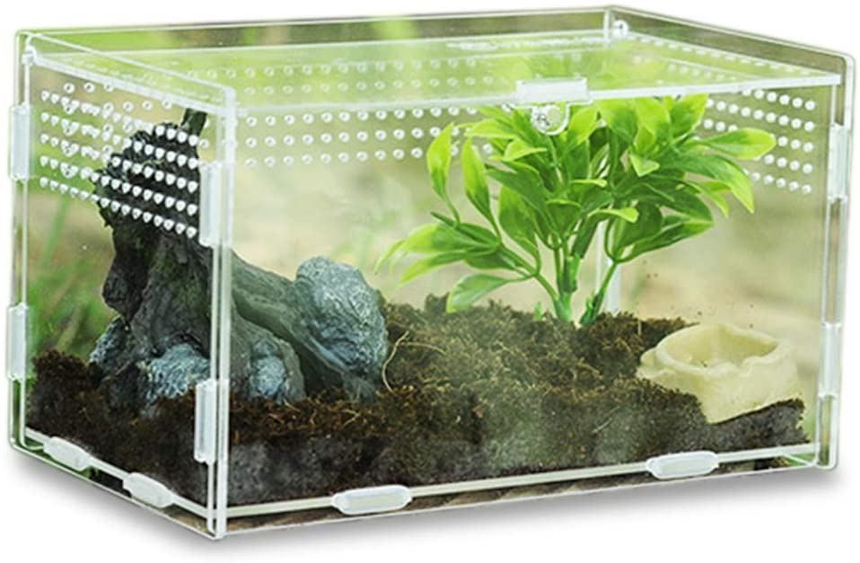 Insect Feeding Box, Acryl-Terrarium- (Neu (gemäss Beschreibung)) in ...