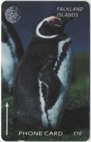 Pinguin auf Telefonkarte von FALKLAND ISLAND