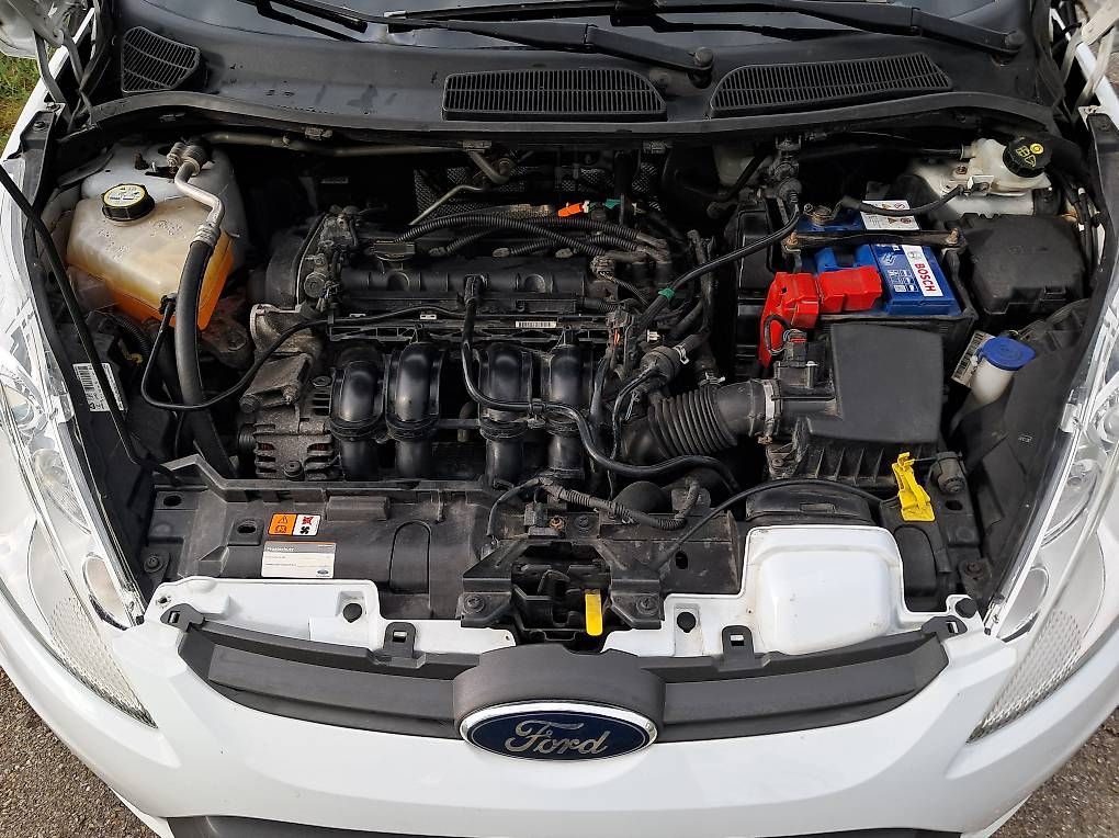 Ford Automobili: Ford Fiesta 1.6l Titanium – Usato da Wittenbach venduto da Denali_77 2