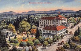 Rheinfelden Soolbad drei Könige, Künstlerkarte gelaufen 1916