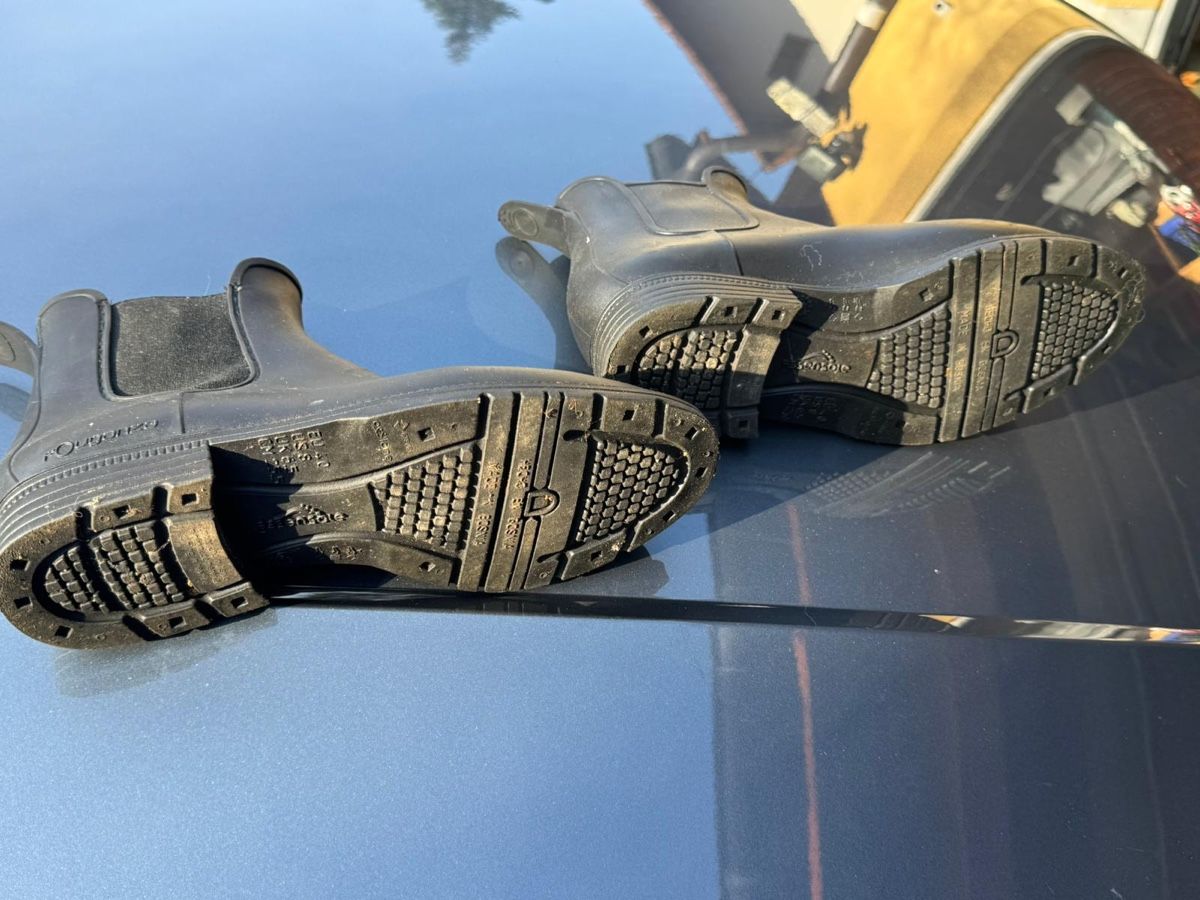 Scarpe per cavalli: Reitstiefel/Reitschuhe Grosse 40 – Usato da Waldenburg venduto da Nina2125 2