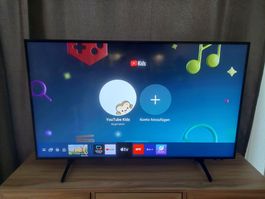 Samsung TV 43 Zoll (108 cm)