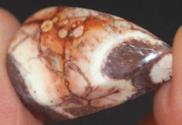 Cabochon L-782 – Vogel Augen Jaspis