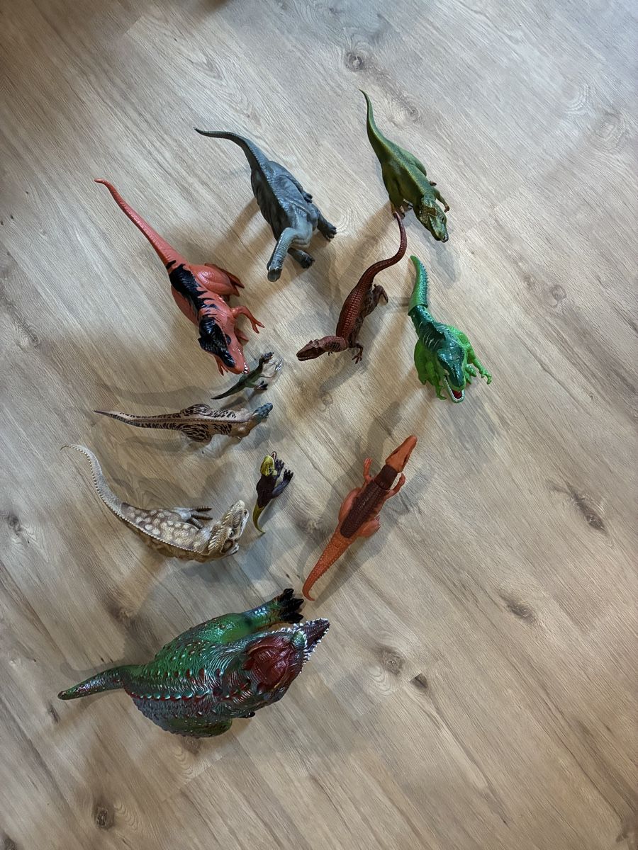 Giocattoli: Dinosaurier Sammlung für Kinder – Usato da Mitlödi venduto da meyer-sabrina 8