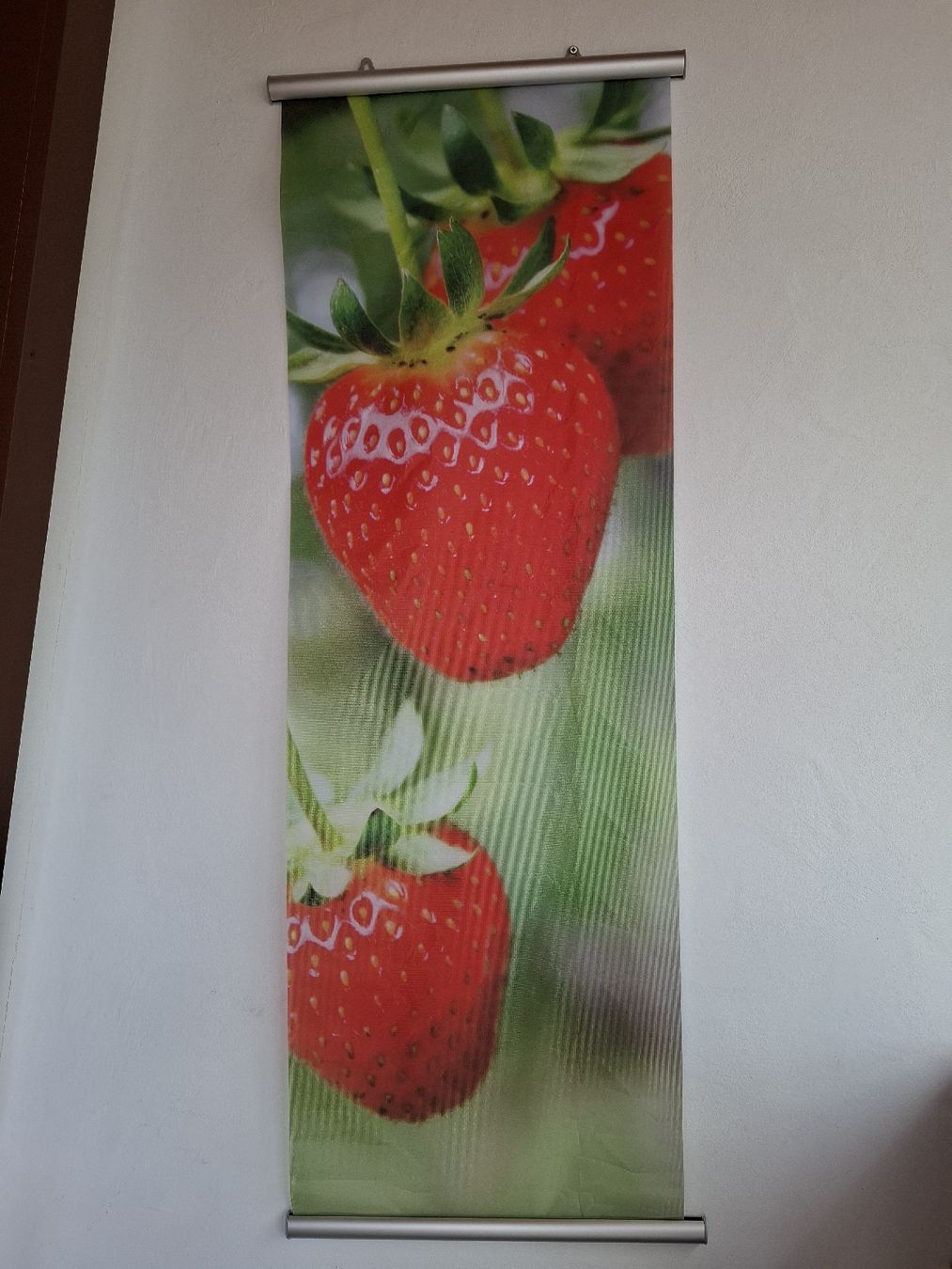 Tutte le decorazioni: Frucht-Rollbanner, Deko Für Küche – Nuovo (secondo la descrizione) da Zuchwil venduto da bvj_5t82 1