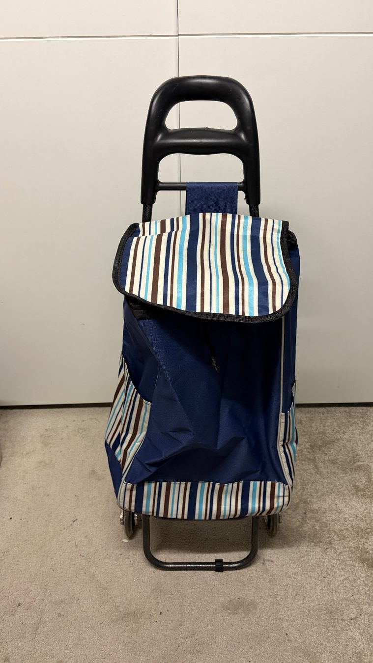 Carrelli di trasporto: Einkaufen rollwagen – Nuovo (secondo la descrizione) da Liestal venduto da Goldart