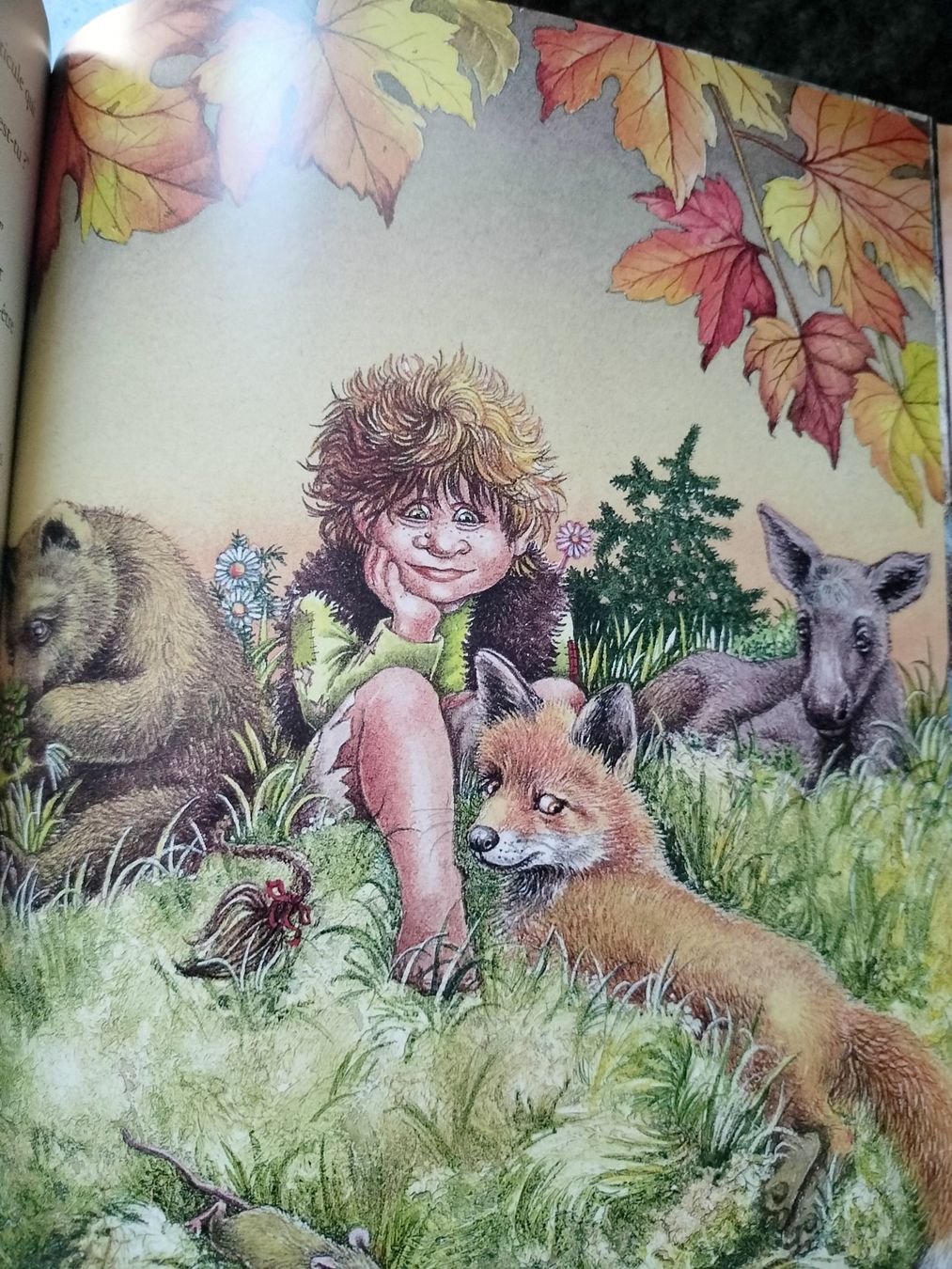 Livres: Petit Troll Tor Age Bringsvaerd – D'occasion à Cortaillod par rozinna 7