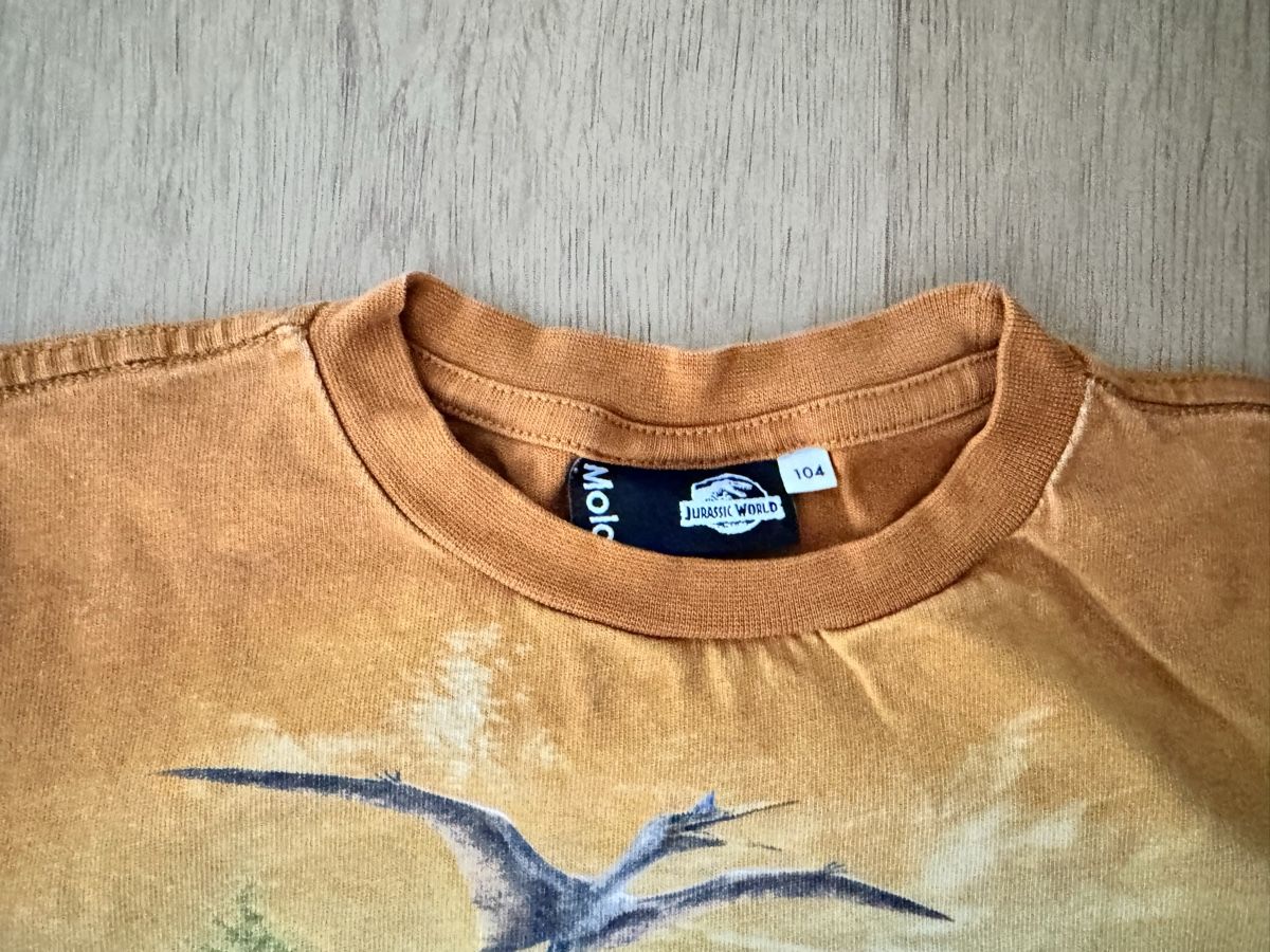 Molo Pullover & Sweatshirts: Molo Jurassic World 104 – Gebraucht aus Allschwil von KYJS 1