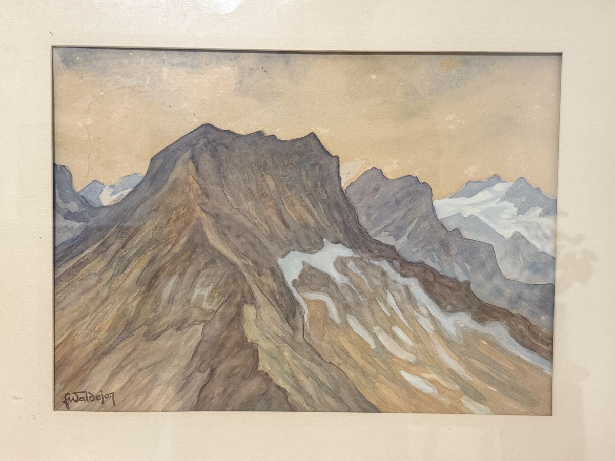 Tableaux: F. Waldejo - Gemälde  – D'occasion à Solothurn par NUVICO 3
