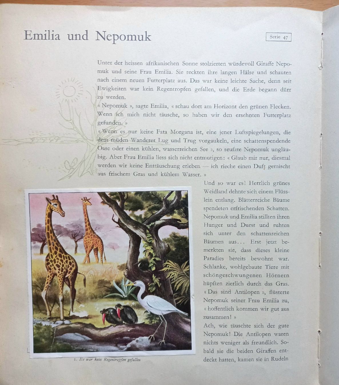 Bücher: Buch - 24 Tiermärchen - Nestlé, Peter, Cailler, Kohler – Gebraucht aus Niederuzwil von lubimaja 4