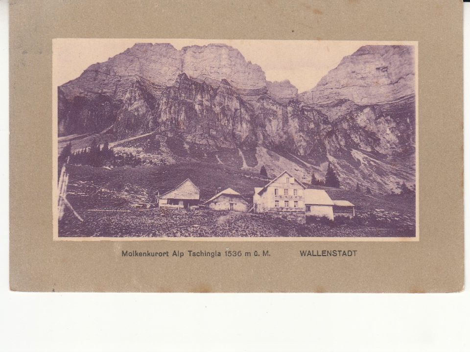 Cartoline postali: Alp Tschingia ca. 1920 – Usato da Bürglen TG venduto da StampGraf