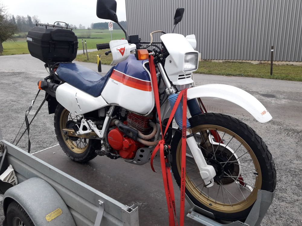 HONDA honda xl 600 lm 1987 Occasione   Il Parking Moto