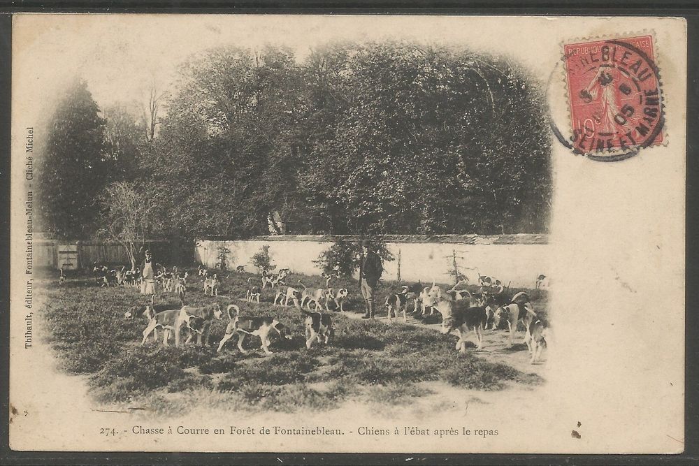 Tirage Argentique Vintage Chasse à Courre En France - Format 8x13 Cm, Circa 1900, Original