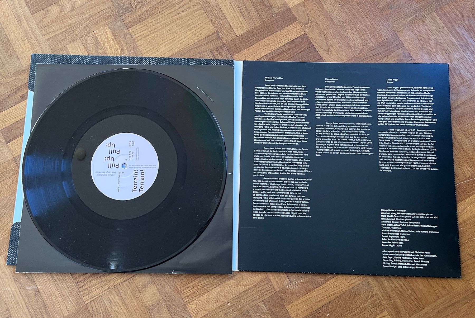 Schallplatten: Michael Wertmüller Terrain! Terrain! Pull Up! Pull Up! Vinyl – Gebraucht aus Solothurn von freaky_zeke 2