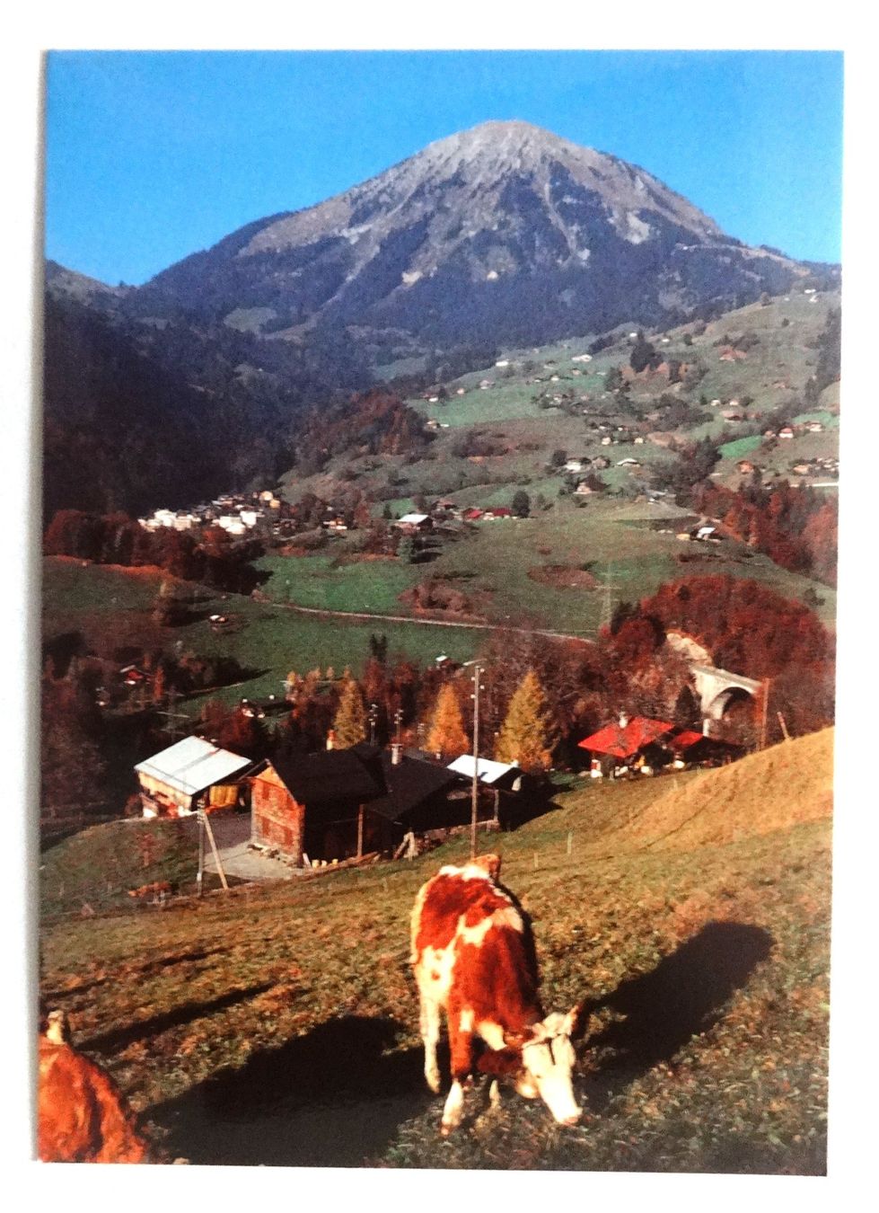 Cartoline postali: Le Sépey et le Mont d' Or – Usato da Fétigny venduto da Billy2miny