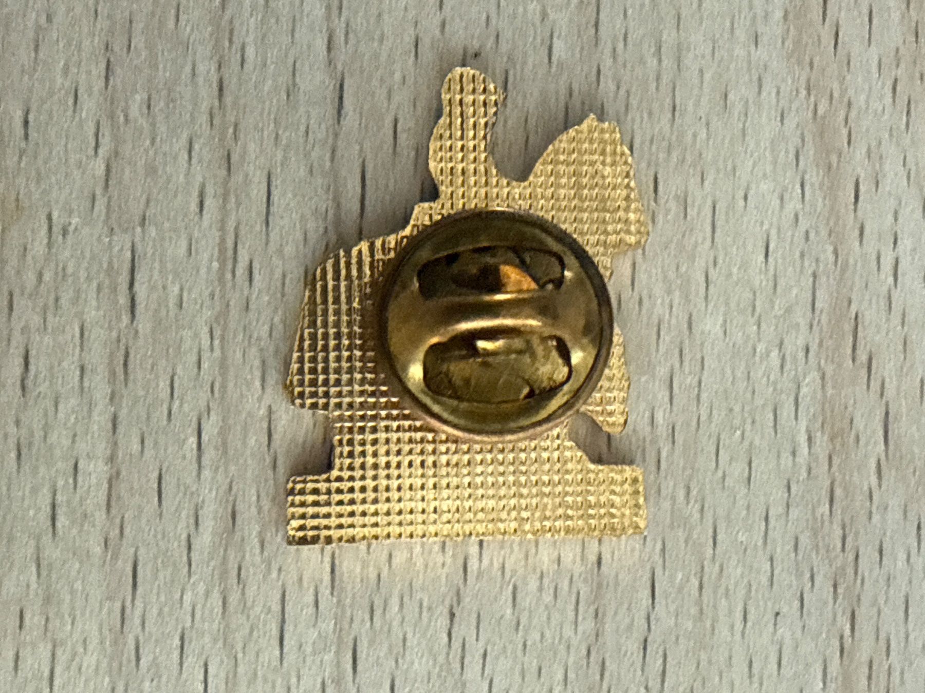 Placchette & Badge: Pin   D.G.M. La Cote – Usato da Glattbrugg venduto da Schweigmatt 1