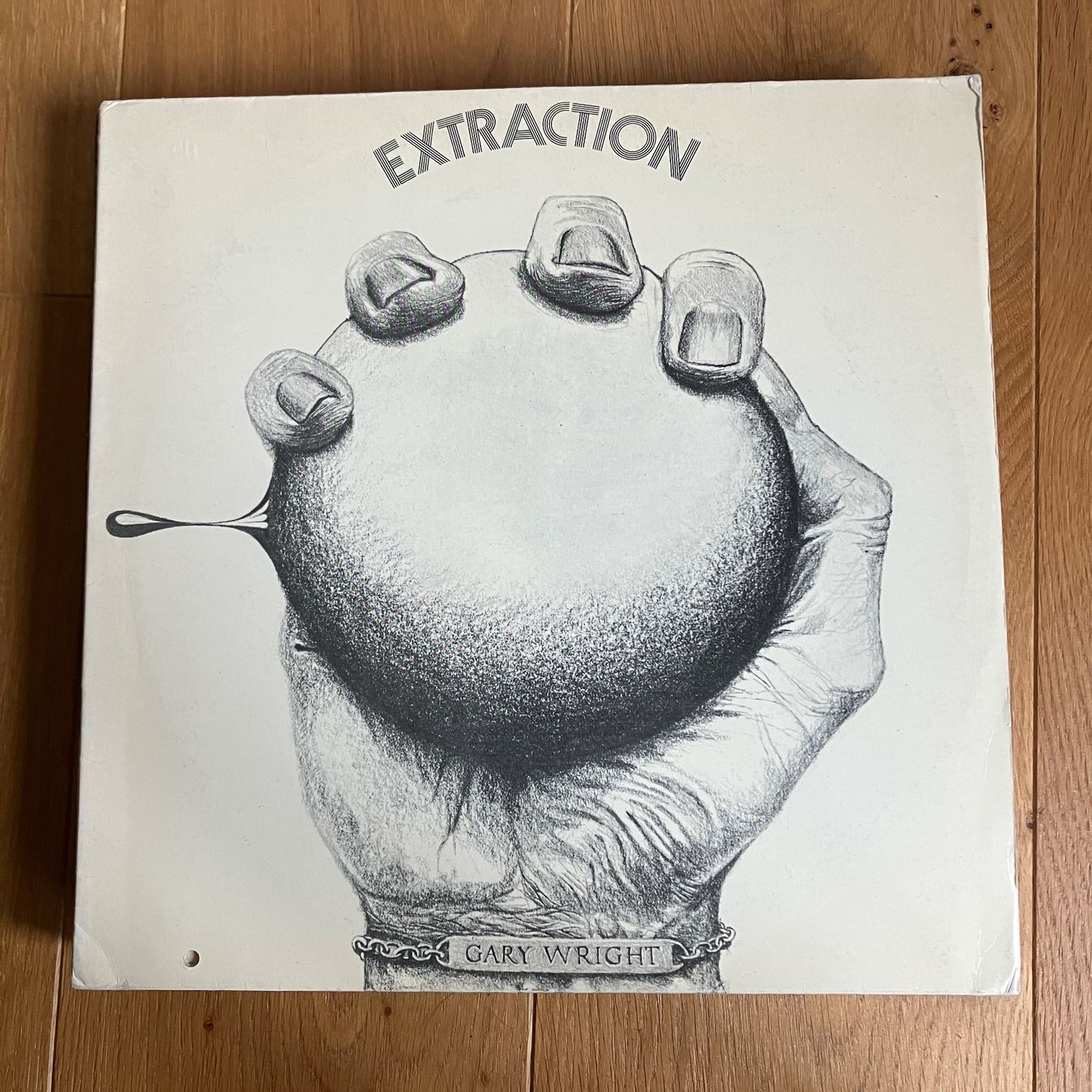 Dischi in vinile: Gary Wright –  Extraction        Postersleeve – Usato da Altdorf UR venduto da Metallic0