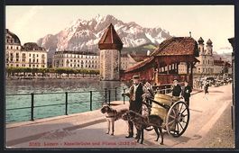 Luzern, Hundegespann an der Kapellbrück