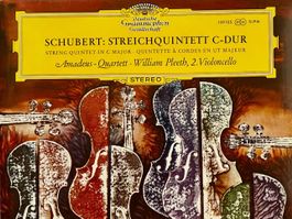 Schubert Streichquintett Amadeus-Quartett  LP GEWASCHEN TOP
