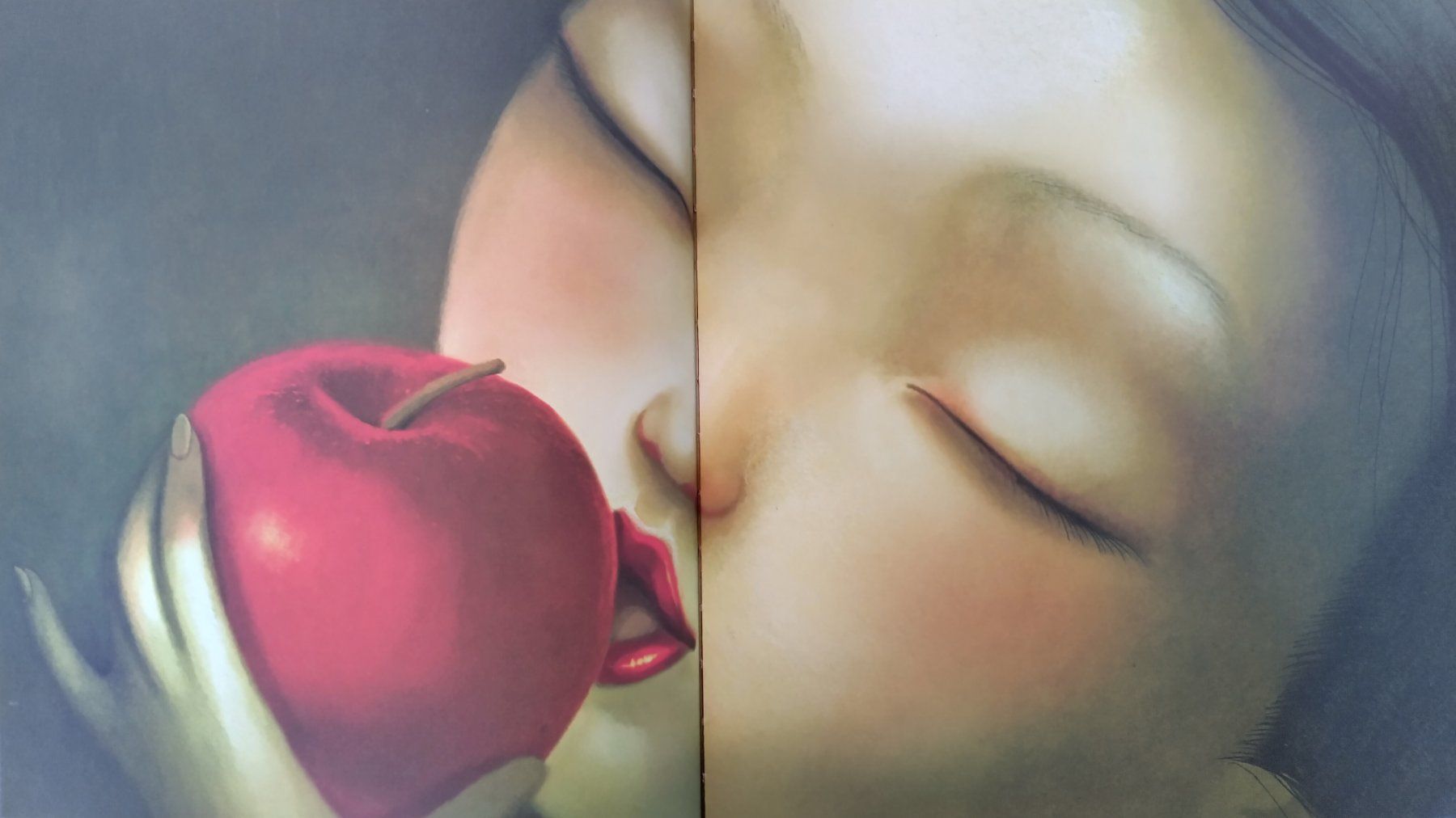 Libri: Schneewittchen / Bilderbuch 2012 von Benjamin Lacombe – Usato da Bellach venduto da JingleJerry 6