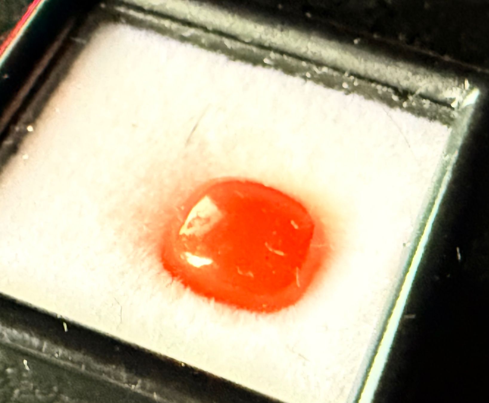 Pietre preziose: Orange Karneol Cabochon Edelstein, 3,35ct – Usato da Zuerich venduto da SonderArt-Wertgut 4