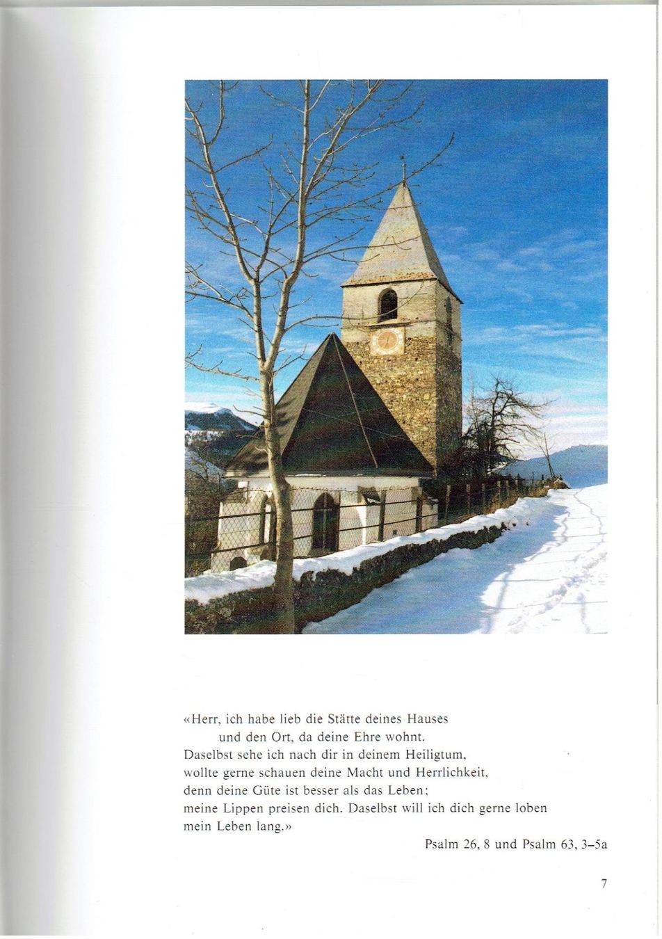 Bücher: Die evangelische Talschaftskirche zu St. Peter im Schanfigg – Neu (gemäss Beschreibung) aus Flims - Dorf von Stagediver 1