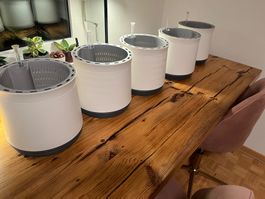 AIRY Biofilter Blumentopf M – verbessert Raumluft – sehr gut