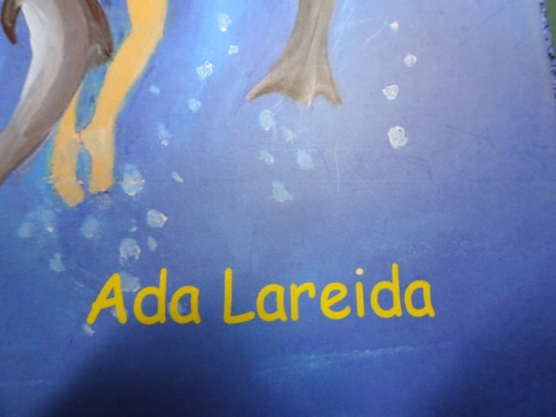 Livres: Delfin Lisa,  von Ada Lareida – Neuf (Voir description) à Grüt (Gossau ZH) par spitzig 1