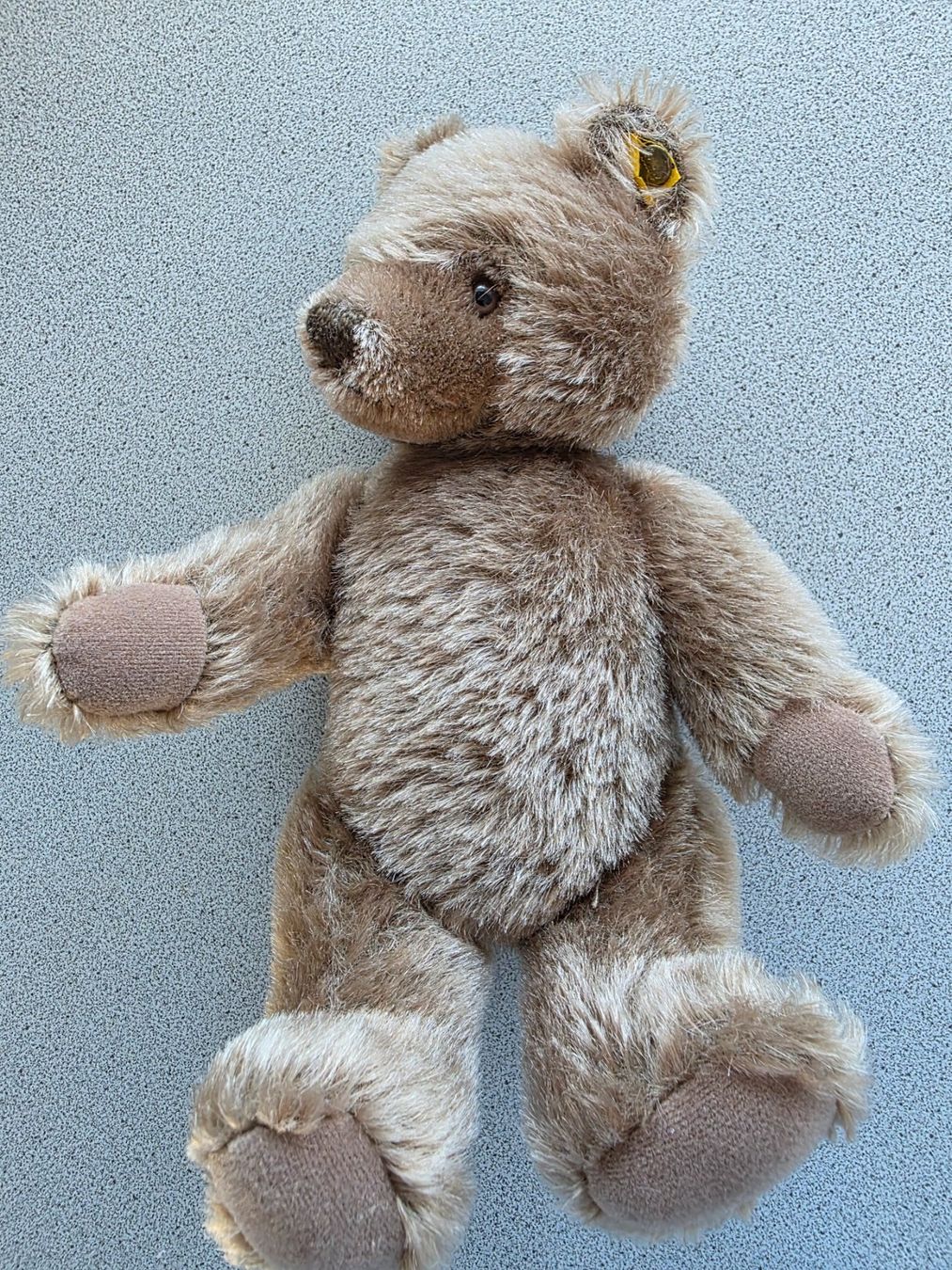 Steiff Giocattoli: STEIFF Teddy 25 cm, nicht bespielt – Usato da Burgdorf venduto da Liss 3