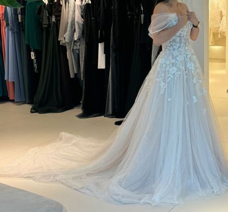 Wedding Dress - Demetrios (Sparkling Tulle/ Lace A-Line)