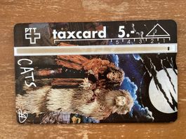 Taxcard 211L_27145 Cats gebraucht