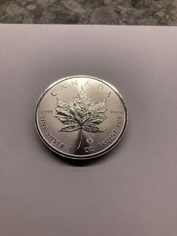 Tutti le monete: 1oz Silver Maple Leaf – Usato da Algetshausen venduto da gunner1879 1