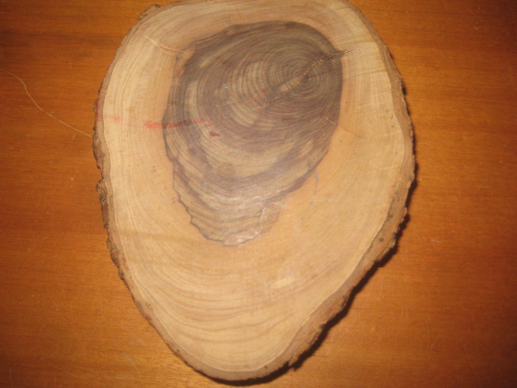 Portacenere: HOLZ   ASCHENBECHER – Usato da Uster venduto da flocke1 3